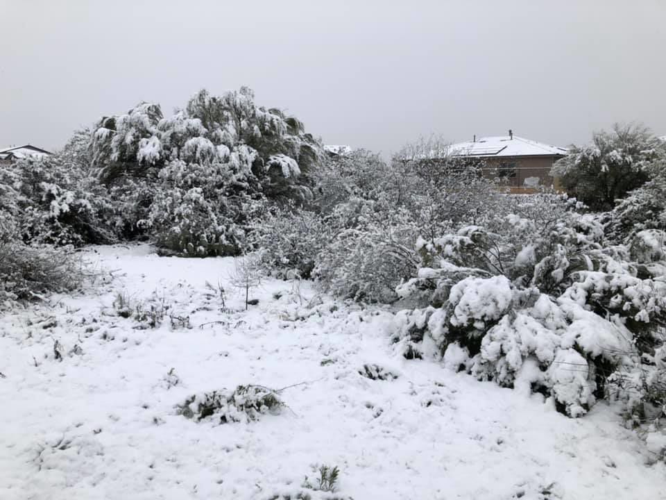 Snow in Oro Valley